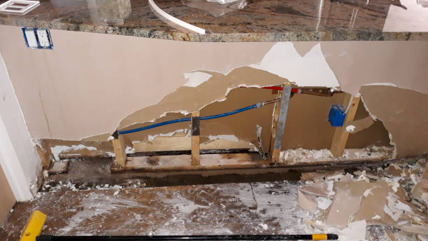 Best Flood damage cleanup  in Lanham, MD