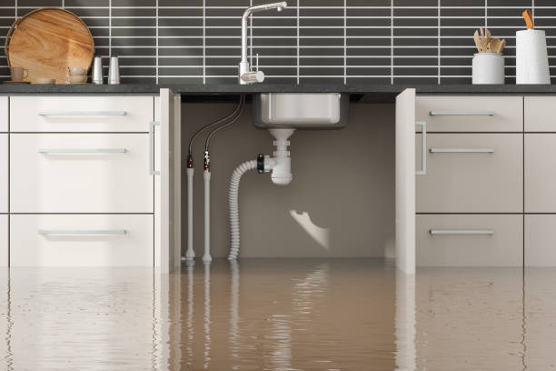 Best Water damage contractors near me  in Lanham, MD