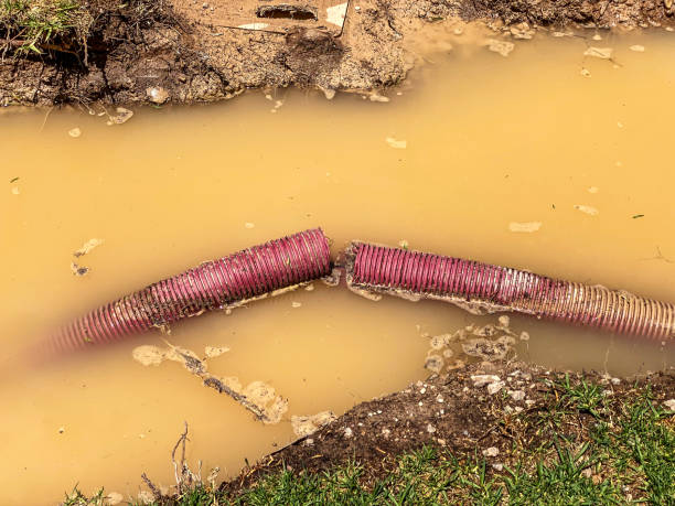 Best Water damage cleanup near me  in Lanham, MD